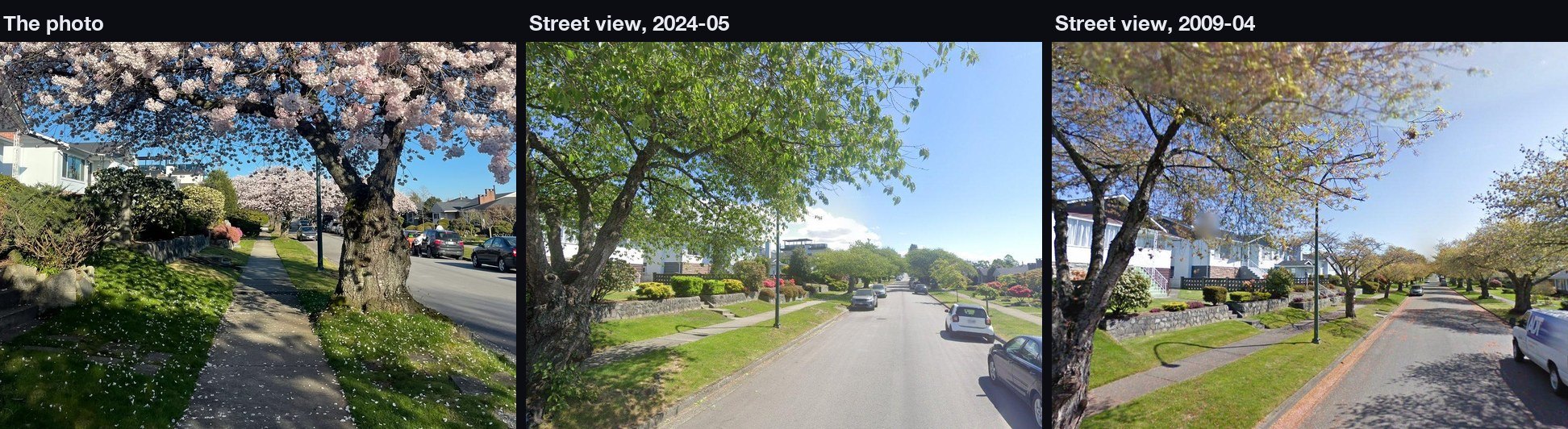 Municipal street-tree registry & grid orientation check